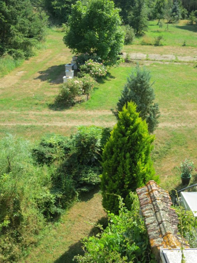 Chambres D'Hotes Du Moulin De La Chaussee Saint-Denis-d'Orques Luaran gambar